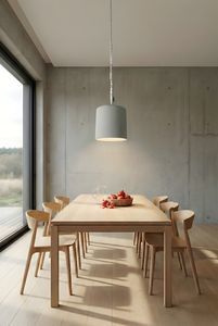 suspension 1