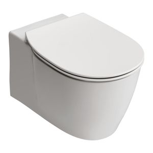 WC suspendu