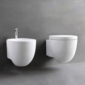toilettes suspendue