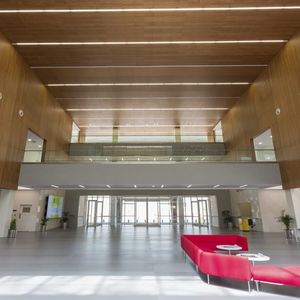 plafond en plaqué bois