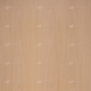 placage en bois 1