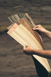 placage en bois 1