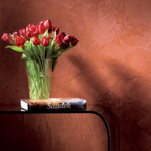 enduit décoratif