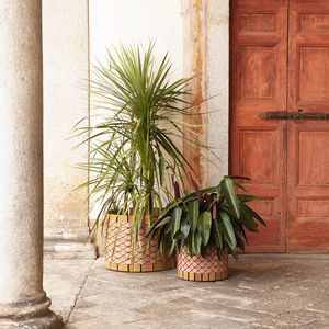 cache-pot en iroko