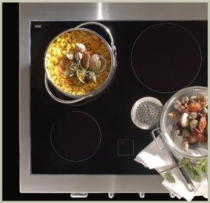 table de cuisson à induction