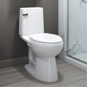 WC à poser
