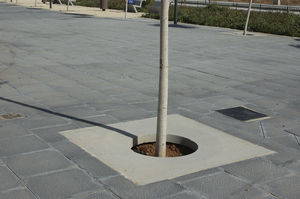 grille d'arbre carrée