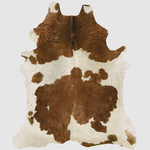tapis contemporain 1