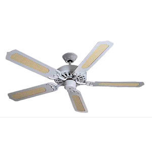 ventilateur au plafond
