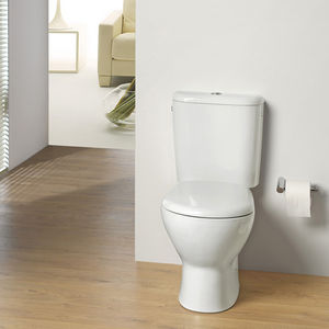WC monobloc 1