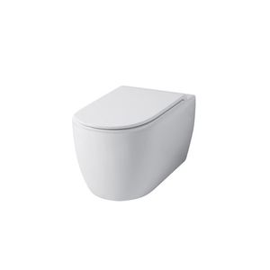 WC suspendu