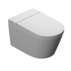 WC intelligent 1