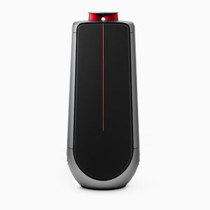 enceinte sur pied