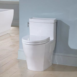 WC monobloc