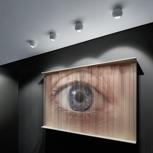 spot de plafond 1