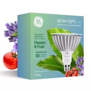 ampoule à LED 1