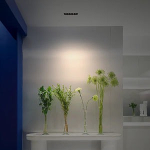 downlight encastré 1