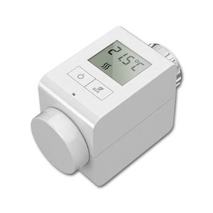 thermostat pour chauffage