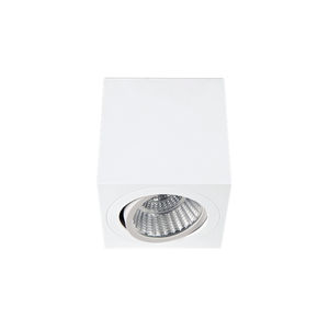 downlight en saillie