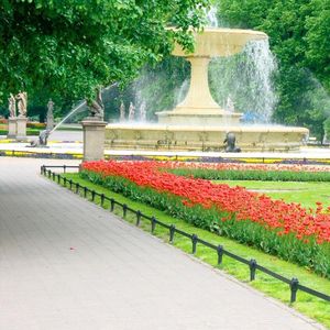 bordure de jardin