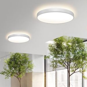 luminaire suspendu 1