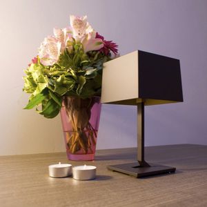 lampe de table 1