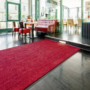 tapis d'entrée pour établissement public 1