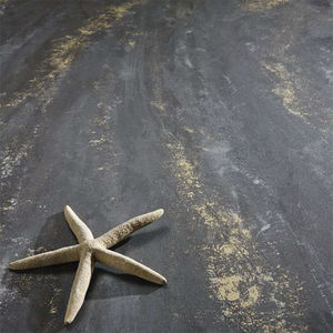 peinture décorative / pour mur / pour plafond / pour intérieur