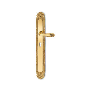 poignée pour porte 1