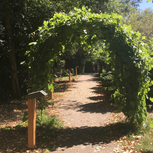 borne d'éclairage de jardin 1