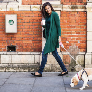 distributeur de sacs pour excréments canins mural