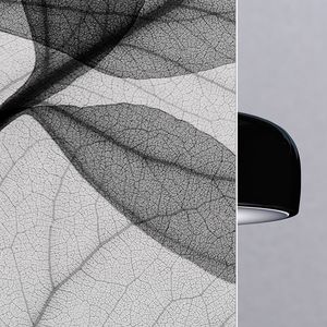 panneau en verre feuilleté