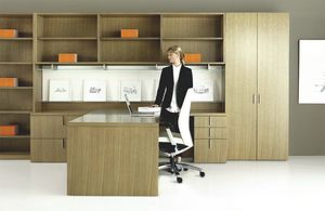 ensemble bureau et rangement professionnel