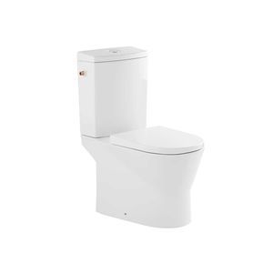 WC sur pied 1