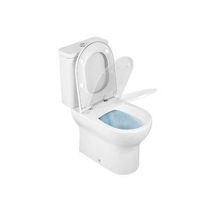 WC sur pied 1