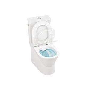 WC monobloc 1