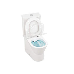 WC sur pied 1