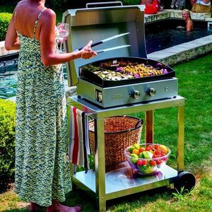 chariot pour barbecue