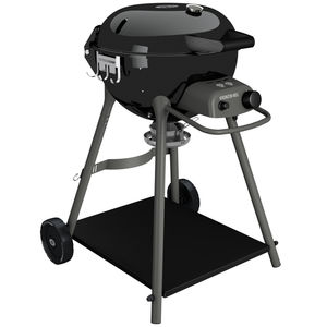 barbecue à gaz 1