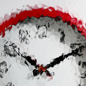 panneau en verre à motif