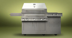 barbecue multicombustible