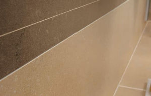 carrelages d'intérieur / muraux / en grès cérame / polis
