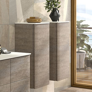 meuble colonne de salle de bain 1