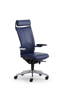fauteuil de direction professionnel 1
