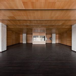 faux-plafond en bois / en panneaux / acoustique / ignifuge