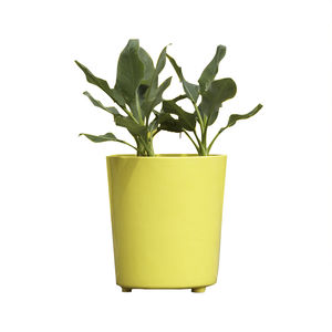 jardinière en fibre de verre