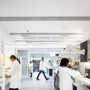 faux-plafond en laine de verre
