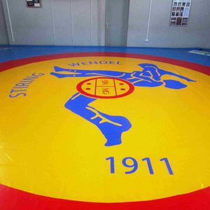 tapis de lutte 1