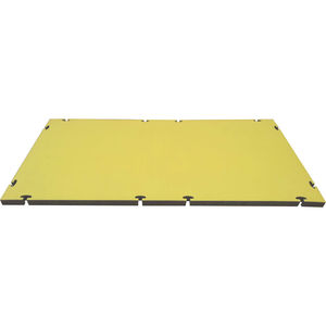 tatami pour judo
