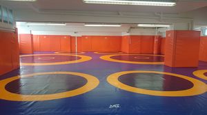 tapis de lutte